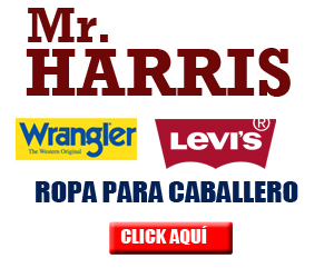 Google search engine