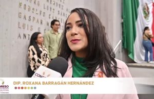 Pérdida de patria potestad por faltar a convivencia supervisada, propone diputada Roxana Barragán