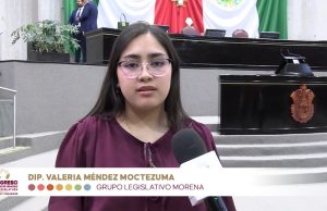 Diputada Valeria Méndez pide esclarecimiento de exterminio de canes en Xalapa