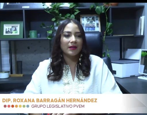 Prioridad cuidar el medio ambiente asegura diputada
